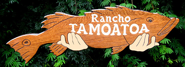 Rancho Tamoatoa. Tucunar sendo segurado pelo pescador.